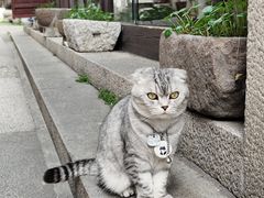 -衣裳街历史文化街区