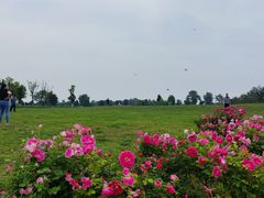 -汉长安城未央宫国家考古遗址公园