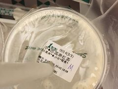 -1点点(国浩长风城商业广场店)