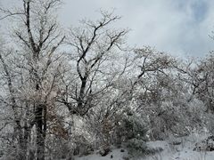 -长春莲花山滑雪场
