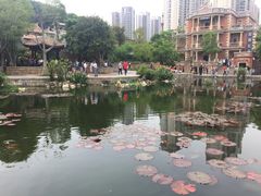 -晋江五店市传统文化旅游区
