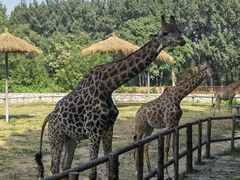 -北京野生动物园