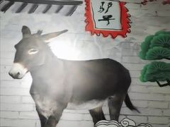 -驴公驴婆(曹杨店)