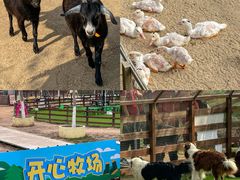 -盈香心动乐园