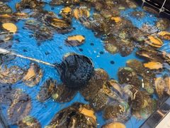 -川骄海鲜自助(河东店)