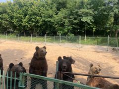 -秦皇岛野生动物园