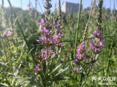 -鸿喜足健康足道采耳艾灸(南纬路店)