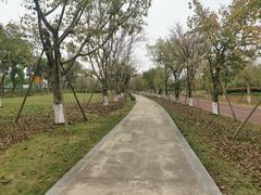 -三圣花乡旅游区