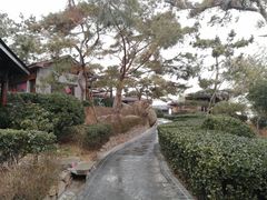 景点-威海天沐度假区温泉