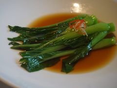 玉琅玕-觀芷隐轩