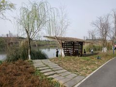 -白鹭湾湿地公园