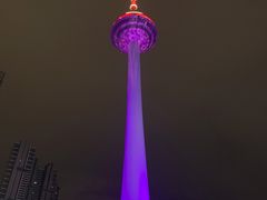 -辽宁电视塔