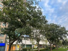 -复地·万科活力中心