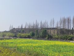 -杏花村文化旅游区