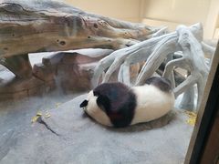 -宁波野生动物园