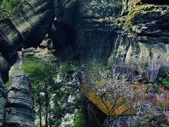 -梭布垭石林景区