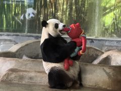 -海南热带野生动植物园