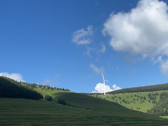 -空中草原