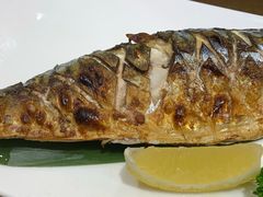 烤青花鱼-东京屋(武定路店)