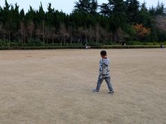 -上海市龙华烈士陵园