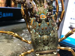 -盒马鲜生(曜一城店)
