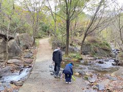 -云岫谷自然风景区