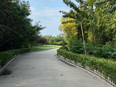 -塘沽森林公园