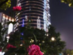 -杭州钱江新城万怡酒店-西餐厅