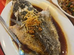 -大树下海鲜饭店