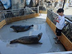 -华夏文旅海洋公园