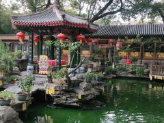 -白家大院·王府宫廷菜(苏州街店)