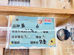 -万达广场(南昌红谷滩店)