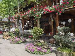 -青城甲(青城山店)