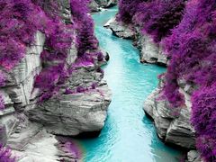 -鼎画艺术机构(贵都店)