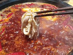 -重庆渝达老火锅(春熙路店)
