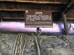 -海南槟榔谷黎苗文化旅游区