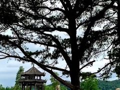 -东湖落雁景区