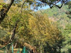 -藏龙百瀑风景区