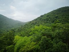 -呀诺达热带雨林