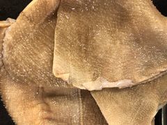 -酒友老火锅(渝中店)