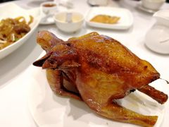 -稻香酒家·33年老字号·港式粤菜(富邦中心店)