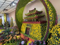 -杭州植物园