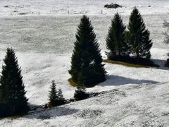 -红跑车HPCBAKERY(汉商店)