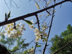 -桃花涧