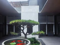 -晓长安·新陕菜(曲江店)