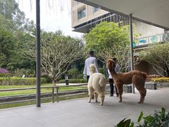 -南宁荔园维景国际酒店·荔园中餐厅