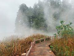 -东湖落雁景区