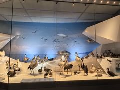 -深海中餐厅(国家海洋博物馆店)