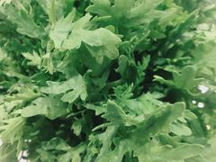 -古乐牛香·鲜牛肉牛杂火锅(新区店)