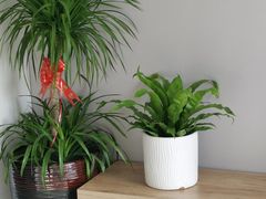 -陈记锅盖面(长江路店)